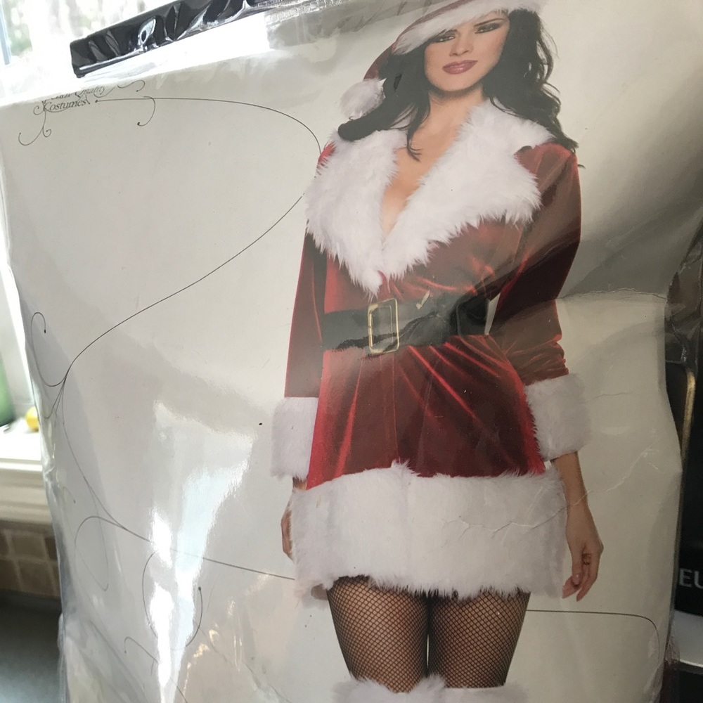 Women's santa costume